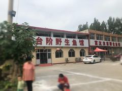-金台阶鱼馆(于桥水库店)