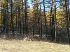 -塞罕坝国家级自然保护区