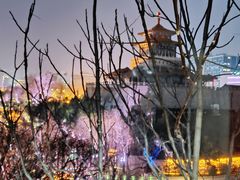 -教师之家赵家羊汤馆(东青龙街店)