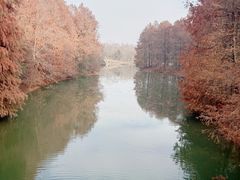 -上海海湾国家森林公园