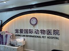 -宠爱国际动物医院·消化内科·心肾内科·ISFM猫友好(望京店)