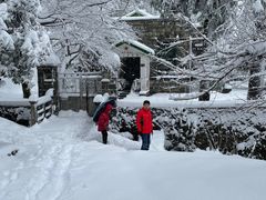 -金鱼妈妈 山野·食趣(荫山街店)