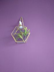 -YOUNGSKIN氧研皮肤管理中心