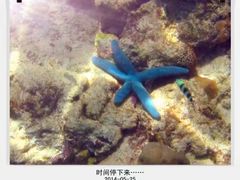-东姑阿都拉曼海洋公园