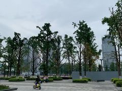 -百林公园-两江幸福广场