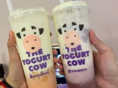 -一只酸奶牛(八一路店)