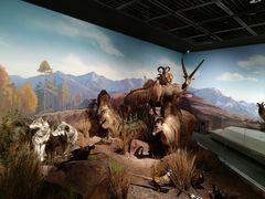 -陕西自然博物馆