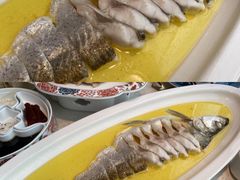 鸡汁大白鱼-食悦江南·淮扬菜·烤鸭(亚运村·惠新店)