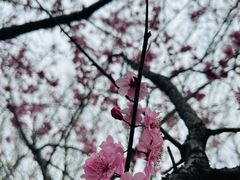 -南湖湿地公园