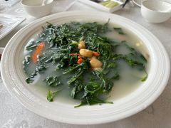 -广州建国酒店-盈丰阁粤菜-粤式茶点