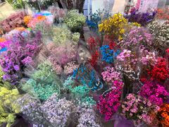 -宝鸡东道花鸟鱼虫市场(吉利花园商场店)
