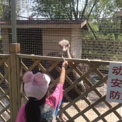 -萌宠亲子动物乐园(槐房万达店)