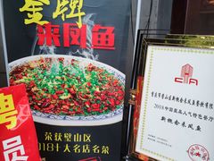 -新概念来凤鱼(璧山店)