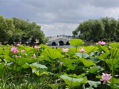 -长春市南湖公园