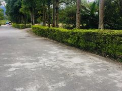 -瑞穗牧场