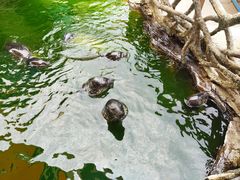 -华夏文旅海洋公园