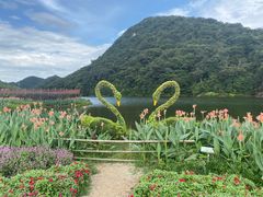 -广州市石门国家森林公园