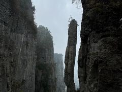 -恩施大峡谷