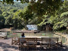 -海南霸王岭国家森林公园