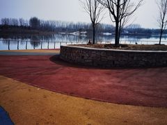 -东郊湿地公园