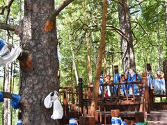 -莫尔道嘎国家森林公园