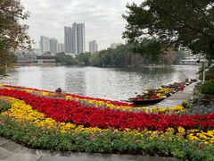 -荔湾湖公园
