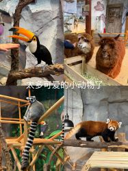 -Zoolung Zoolung动物主题公园(海信广场店)