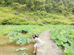 -靖西鹅泉风景区