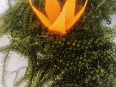 -越海渔村