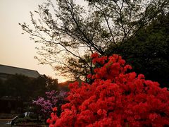 -杭州六谷生态休闲农庄有限公司