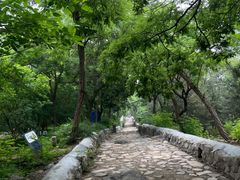 -阳台山自然风景区