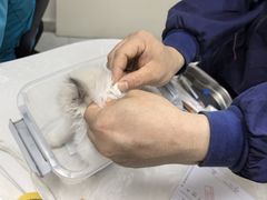 -中农国际动物医院24小时·猫科·骨科·急重症中心