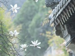 -潭柘寺景区