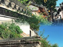 -渔梁坝