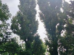 -秦岭终南山世界地质公园翠华山景区
