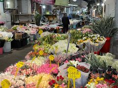 -循礼门鲜花花市(武汉循礼门店)