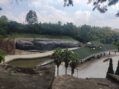 景点-三水森林公园