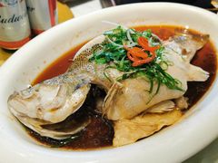 清蒸多宝鱼-蓬川食府(金海道店)