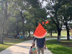 -秀丽东方