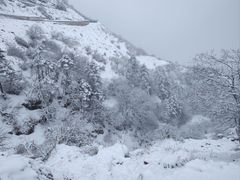 -牛背山