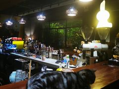 -咖法森林·咖啡  酒吧(天河店)