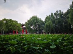 -四川大学(望江校区)