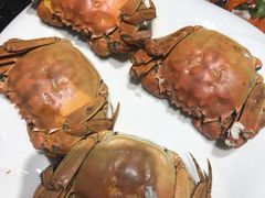 -鲜鲜·鲅鱼圈海鲜(于洪店)