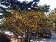 -东北大学(南湖校区)