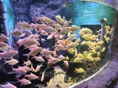 -威海华夏城景区