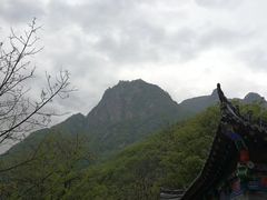 -陕西省红河谷森林公园