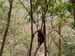 -西岭雪山大飞水景区