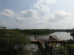 -东寨港红树林旅游区