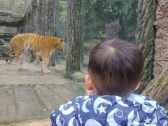 -贵州森林野生动物园