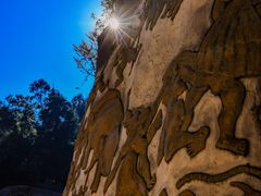 -彩色沙林风景区